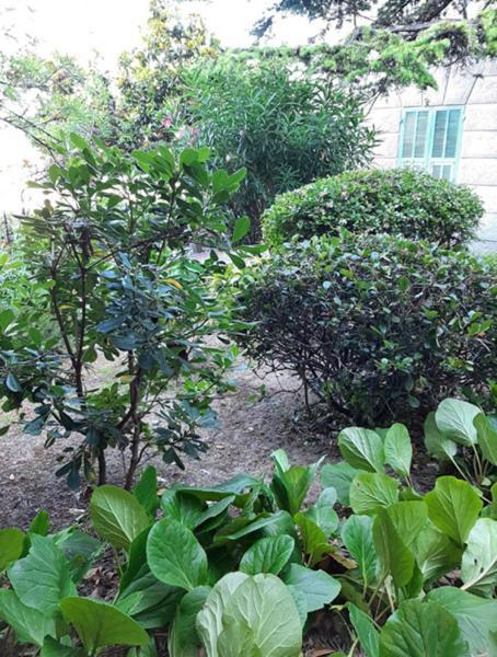 Casa Gazzano Villa อิมเปรีอา ภายนอก รูปภาพ