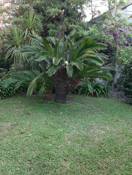 Casa Gazzano Villa อิมเปรีอา ภายนอก รูปภาพ